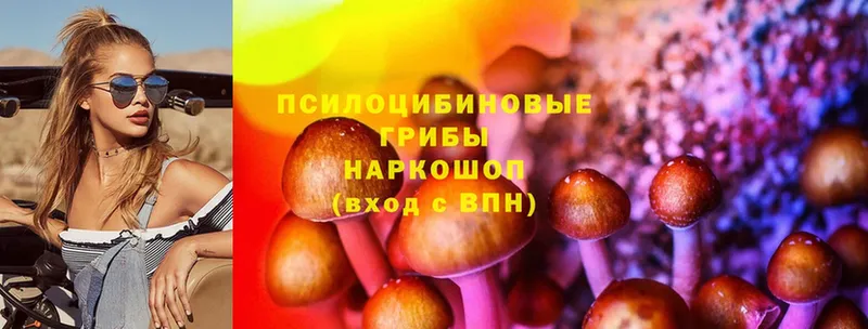 купить наркотик  kraken как войти  Псилоцибиновые грибы Psilocybe  Балахна 